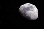 finalmente una foto "decente" (IMHO) con il mio nuovo cata: 
cata 500mm cento f8 + moltiplicatore 2X 7 lenti 
iso 200 
1/100s 
scattata su cavalletto con autoscatto 2s