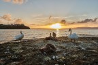 Tramonto in compagnia