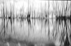 lungo il fiume