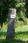 ***Humor Photo***