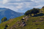 Mottarone