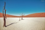 Tree tree of death