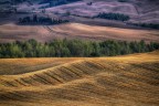 Onde sulle colline