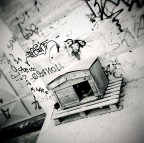 the cage