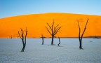 Foto obbligatoria per chiunque visiti la Namibia. Uno dei posti pi belli che abbia mai visto. Soprattutto alla'alba: per pi di mezz'ora sulla distesa di sabbia secca eravamo solo io, mia moglie e gli alberi.