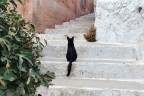 Attesa.......!!!!!