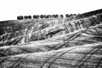 La rivolta delle rotoballe