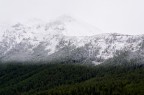 Prime nevicate di Settembre che trovano la vegetazione ancora verde mentre poco pi su il bianco cancella quasi ogni cosa - Monte Fravort 

Suggerimenti e critiche sempre ben accetti