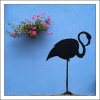Flamingo (on) road