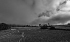 la terra