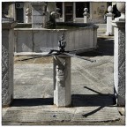 Koper 029