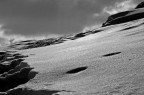 Deserto di neve