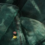 La stagione delle Olive La stagione delle Olive