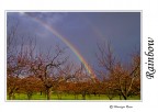 Arcobaleno dopo la pioggia.