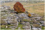 Autunno in Lessinia