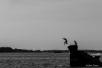 Il tuffo