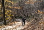 autunno