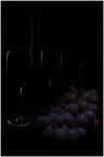 Vino ed uva
