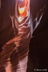 Antelope in verticale