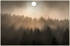 Nebbia a base Tuono.