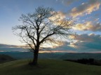 Lungo la mia strada sulle colline