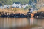 ...tecnica fotografica naturalistica.....