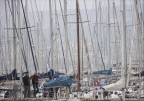 Trieste. E' bello passeggiere tra alberi e sartie che cinguettano