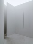 Manifiesto blanco