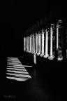 S.T._DSC2290
