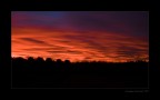 DSCF3736