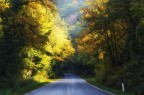 Autunno