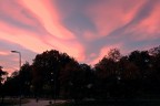 &quot;9 ottobre 2017. Tramonto al Parco Forlanini