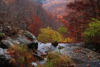 Autunno
