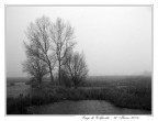 Foto scattata questo pomeriggio al lago di Colfiorito!