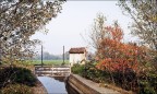 piccola peste e i colori dell'autunno ;/)