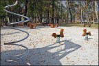 Autunno img.045