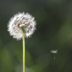ONE