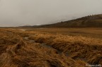 Vallata di Jackson Hole