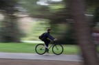 Pedalata nel parco