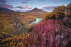 Buonasera a tutti!
Vi propongo quest'oggi un'immagine scattata recentemente nelle terre selvagge dello Yukon, in Canada.
(Chiedo scusa per un'eventuale mancanza di qualit nel file ma sono stato costretto a salvare la foto al 50% per i limiti di dimensione imposti, grazie)