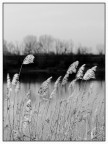 brezza sul fiume