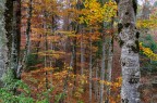 St