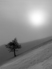 fog &amp; snow