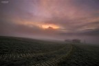 Alba e nebbia - in Alpe di Siusi
