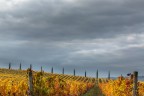 Toscana