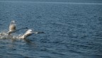Decollo sul lago