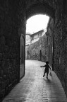 Il birbante