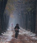 passione bici...