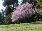Mamma e bimbi sotto la primavera d'Inverno
