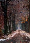 l'autunno si veste di bianco